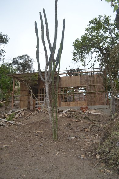 Casita front with cactus